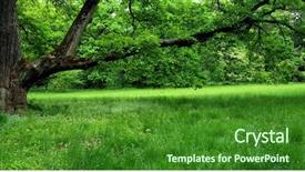  Presentation with mystic - Colorful slides enhanced with summer wide screen - mystic meadow with an oaks backdrop and a  colored foreground