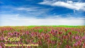  Presentation with leaves falling - Cool new PPT theme with summer wildflowers and sky backdrop and a tawny brown colored foreground