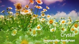  Presentation with autumn leaves falling - Beautiful PPT layouts featuring summer wildflowers and sky backdrop and a tawny brown colored foreground