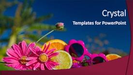 Presentation with summer trees - PPT layouts with summer with sunglasses banana tree background and a  colored foreground