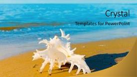  Presentation with life cycle assessment - Theme consisting of summertime fun - life macro detail background and a  colored foreground