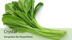  Presentation with chinese chinese - Beautiful PPT layouts featuring sums - choy sum chinese vegetable isolated backdrop and a yellow colored foreground