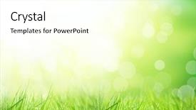  Presentation with shimmering - Presentation design enhanced with sun - green floral background with bunch background and a cream colored foreground