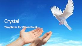  Presentation with released - Amazing slides having sun a white dove backdrop and a teal colored foreground