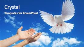  Presentation with white dove - Cool new theme with sun a white dove backdrop and a ocean colored foreground