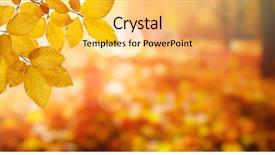  Presentation with fall leaves - Colorful slides enhanced with sun and blurred trees fall backdrop and a yellow colored foreground