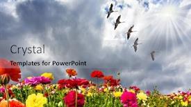  Presentation with strong wind - PPT theme featuring sun-and-wind-heavy-rain background and a light gray colored foreground