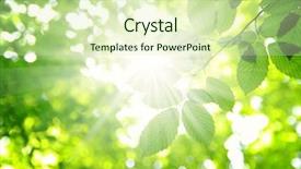  Presentation with chemistry leaves green leaf - PPT layouts consisting of sun beams and green leaves background and a  colored foreground