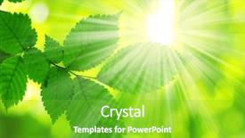  Presentation with green leaves - Presentation theme consisting of sun beams and green leaves background and a  colored foreground
