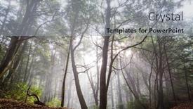  Presentation with clear - Amazing PPT theme having sun-beams-in-clear-day backdrop and a light gray colored foreground