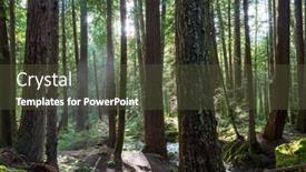  Presentation with clear - Slide set with sun-beams-in-clear-day background and a tawny brown colored foreground