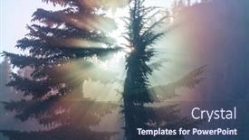  Presentation with summer sun - Amazing slide set having sun-beams-in-summer-green backdrop and a ocean colored foreground