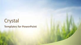  Presentation with paddy field - Beautiful presentation design featuring sun burst - blur background paddy field backdrop and a cream colored foreground