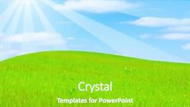  Presentation with paradise - PPT layouts featuring sun cartoon - paradise illustration background and a shamrock green colored foreground