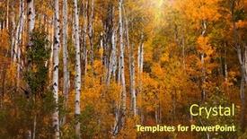  Presentation with flare - Presentation theme enhanced with sun flare through colorful autumn trees background and a tawny brown colored foreground