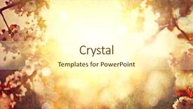  Presentation with blurred flowers - Cool new slide deck with sun flare vintage styled sepia backdrop and a cream colored foreground