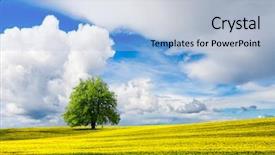  Presentation with beautiful nature in twilight - Cool new slides with sun flower field - beautiful nature landscape backdrop and a  colored foreground