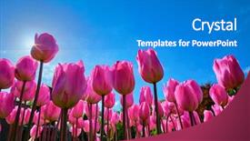  Presentation with pink sky - Beautiful slide deck featuring sun from low vantage point backdrop and a teal colored foreground