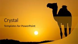  Presentation with sun desert - Slides having sunshine golden sand dune - sun going down background and a gold colored foreground