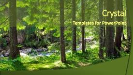 Presentation with green forest morning - Theme enhanced with sun in the green forest background and a tawny brown colored foreground