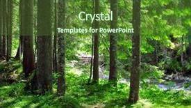  Presentation with green forest morning - Colorful PPT theme enhanced with sun in the green forest backdrop and a  colored foreground