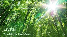  Presentation with green forest morning - Amazing slide deck having sun in the green forest backdrop and a  colored foreground