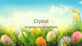  Presentation with spring nature grass - Slide deck having sun invitation card border background and a cream colored foreground