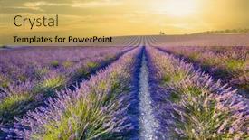  Presentation with purple - Presentation consisting of sun-is-setting-over background and a  colored foreground