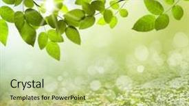  Presentation with spring nature grass - Amazing PPT theme having sun leaf - spring or summer season abstract backdrop and a mint green colored foreground