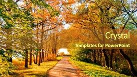  Presentation with fall - Presentation with sun leaf - yellow trees fall landscape background and a tawny brown colored foreground