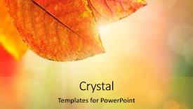  Presentation with nature sun leaves - Amazing theme having sun light fall yellow orange backdrop and a yellow colored foreground