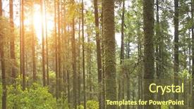  Presentation with monarch butterfly - Cool new theme with sun monarch butterfly biosphere backdrop and a tawny brown colored foreground