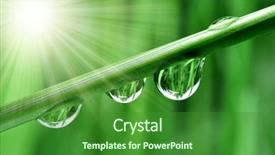  Presentation with dew - Colorful theme enhanced with sun plant water - fresh grass with dew drops backdrop and a  colored foreground