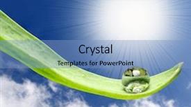  Presentation with rain water - Beautiful presentation featuring sun rain - green leaf with water drop backdrop and a light blue colored foreground