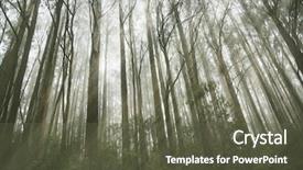  Presentation with sun rays on blue sky - Presentation featuring sun rays crossing a misty background and a tawny brown colored foreground