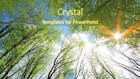  Presentation with sun - PPT theme enhanced with sun rays go through green background and a tawny brown colored foreground