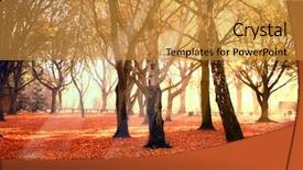  Presentation with safari park beautiful wildlife animal - PPT theme enhanced with sun rays light brown - beautiful park in autumn background and a  colored foreground