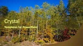  Presentation with light rays - PPT theme enhanced with sun rays light brown - fall landscape colorful fall nature background and a tawny brown colored foreground