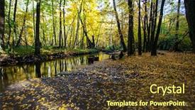  Presentation with fall - Amazing slides having sun rays light brown - fall landscape colorful fall nature backdrop and a tawny brown colored foreground