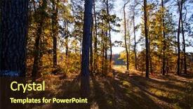  Presentation with colorful nature borders - Beautiful PPT theme featuring sun rays light brown - fall landscape colorful fall nature backdrop and a wine colored foreground