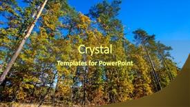  Presentation with fall - Slides enhanced with sun rays light brown - fall landscape colorful fall nature background and a tawny brown colored foreground