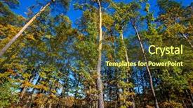  Presentation with light rays - Beautiful slides featuring sun rays light brown - fall landscape colorful fall nature backdrop and a tawny brown colored foreground