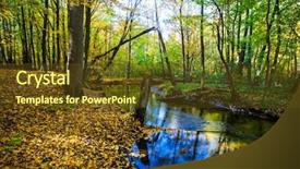  Presentation with light rays - Colorful PPT layouts enhanced with sun rays light brown - fall landscape colorful fall nature backdrop and a tawny brown colored foreground