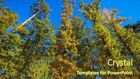  Presentation with fall - PPT theme featuring sun rays light brown - fall landscape colorful fall nature background and a  colored foreground