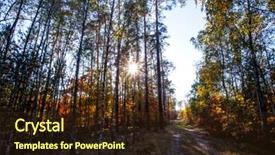  Presentation with colorful nature borders - Beautiful presentation theme featuring sun rays light brown - fall landscape colorful fall nature backdrop and a  colored foreground