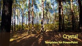  Presentation with light rays - Presentation theme having sun rays light brown - fall landscape colorful fall nature background and a  colored foreground