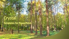  Presentation with light rays - Cool new theme with sun rays light brown - natural background deep backdrop and a  colored foreground