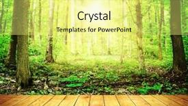  Presentation with wood planks - Slide set consisting of sun rays light brown - sunlight in thesummer forest background and a blonde colored foreground