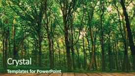  Presentation with yellow wood texture and - Presentation enhanced with sun rays light brown - wood textured backgrounds background and a tawny brown colored foreground