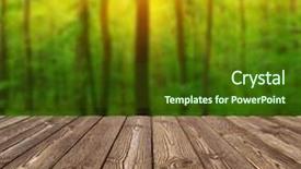  Presentation with trees - Colorful slide set enhanced with sun rays light brown - wooden table place and trees backdrop and a tawny brown colored foreground